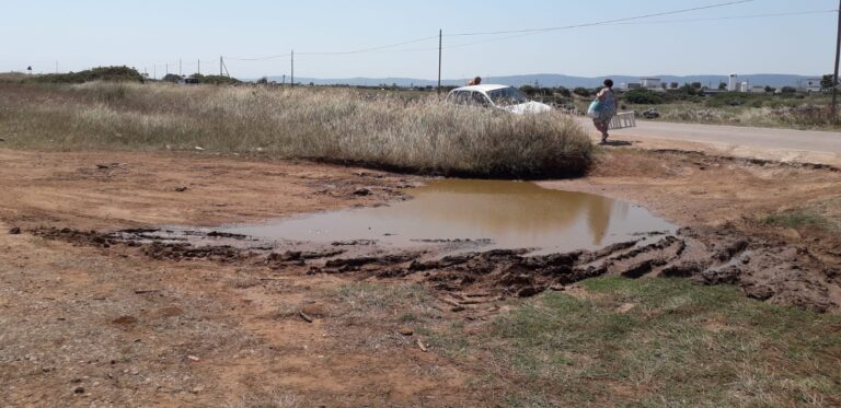 Segnalato un disservizio sulla litoranea Savelletri-Torre Canne Segnalato un disservizio sulla litoranea Savelletri-Torre Canne - Osservatorio Fasano
