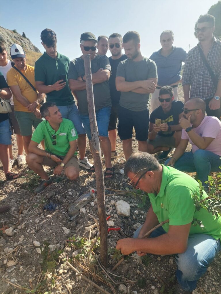 Valle d’Itria post-Xylella: un viaggio studio del GAL per conoscere colture alternative e diversificare - Osservatorio Fasano
