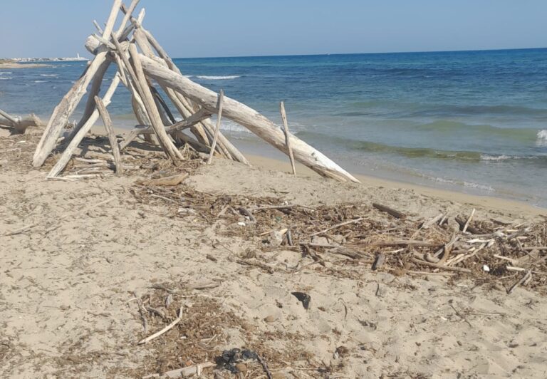 Fratelli d’Italia: tra sogni di Regione e territorio abbandonato al degrado, la doppia faccia dell’amministrazione Zaccaria - Osservatorio Fasano