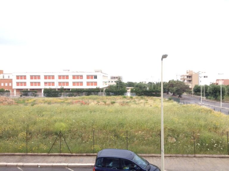 Anche a Fasano centro serpi e topi vicino scuole ed abitazioni: il caso del terreno Asl di via Attoma - Osservatorio Fasano