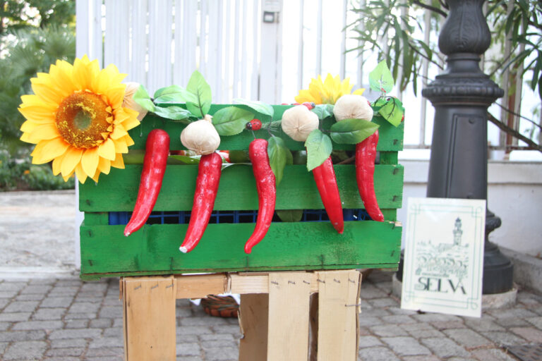 Un bastimento di cestini colorati a Selva di Fasano - Osservatorio Fasano