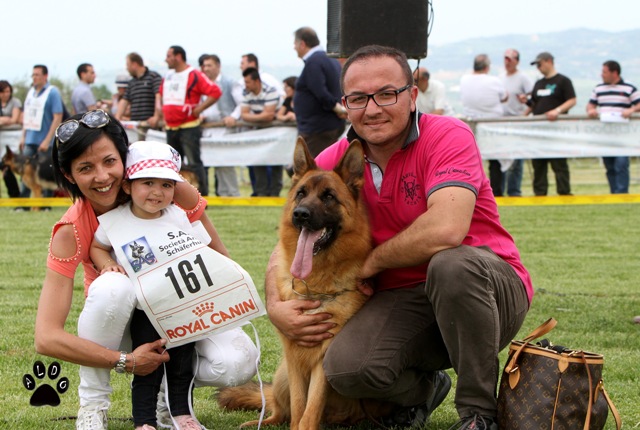 Vittorie su vittorie per Tony De Pace e il suo pastore tedesco Bolla del Rione Antico Vittorie su vittorie per Tony De Pace e il suo pastore tedesco Bolla del Rione Antico - Osservatorio Fasano