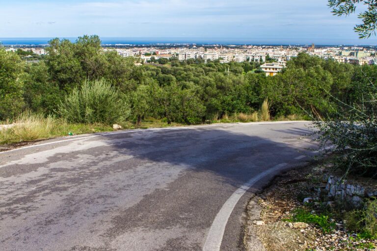 Quella maledetta curva in contrada Matarano: diverse auto fuori strada Quella maledetta curva in contrada Matarano: diverse auto fuori strada - Osservatorio Fasano