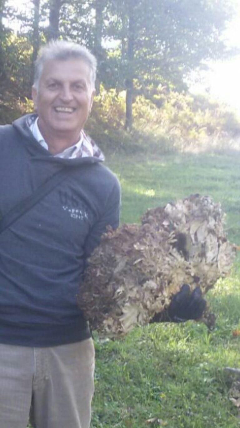 Fasanese trova fungo di quasi dieci chili - Osservatorio Fasano