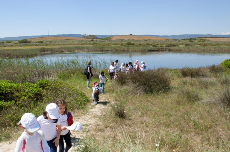 Parco delle Dune Costiere: Fasano verserà le quote annuali del 2015 e del 2016 - Osservatorio Fasano