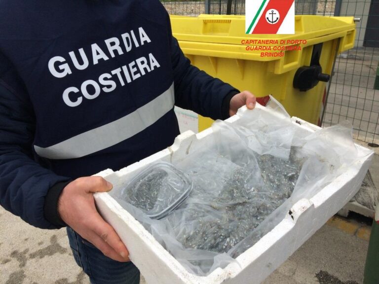 Guardia Costiera: a Pasqua effettuati controlli sulla filiera ittica anche a Fasano Guardia Costiera: a Pasqua effettuati controlli sulla filiera ittica anche a Fasano - Osservatorio Fasano
