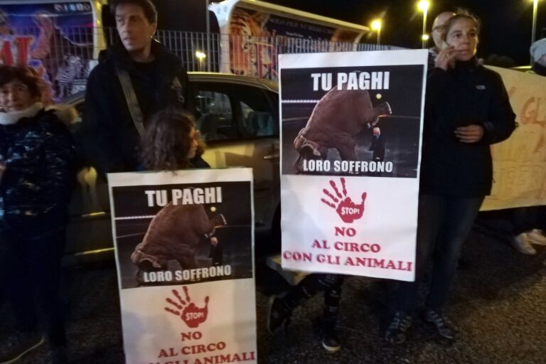 Sit-in contro il Circo e lo sfruttamento degli animali Sit-in contro il Circo e lo sfruttamento degli animali - Osservatorio Fasano
