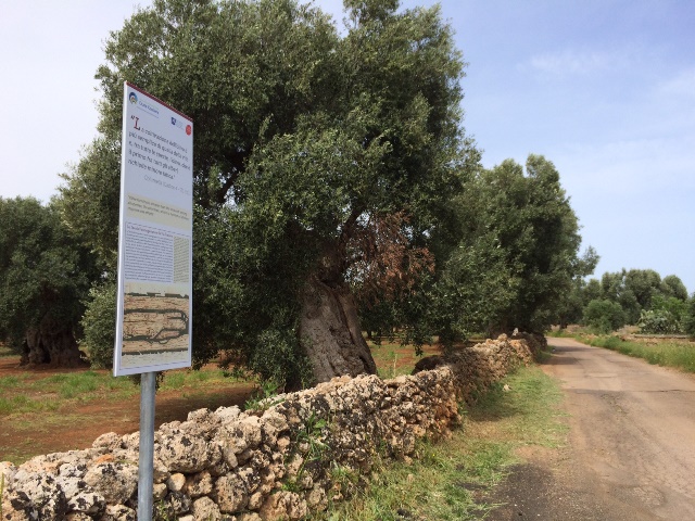 Parco Dune Costiere: nuovo percorso letterario con il museo di Egnazia Parco Dune Costiere: nuovo percorso letterario con il museo di Egnazia - Osservatorio Fasano