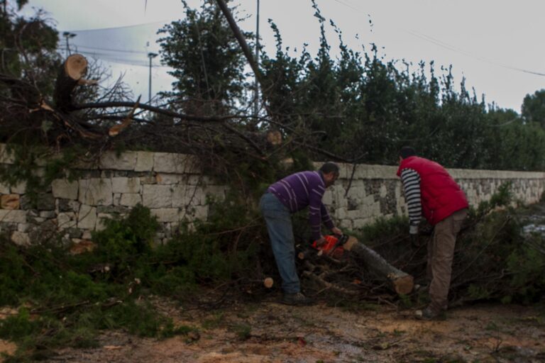 Tromba d'aria e maltempo a Fasano: alla Selva si cominciano a stimare i danni - Osservatorio Fasano