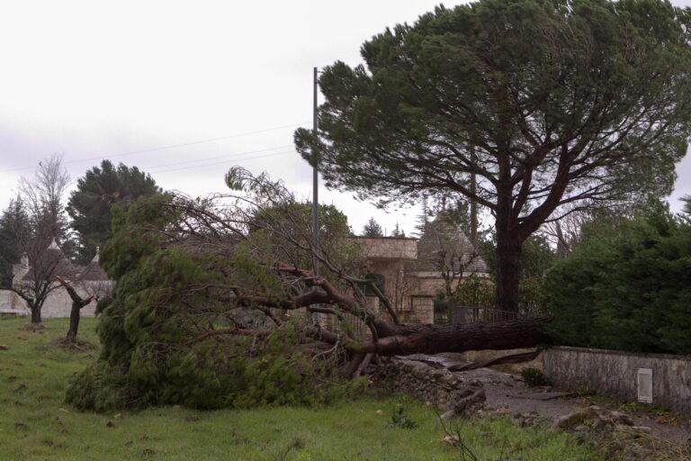 Maltempo su Fasano: il sindaco Di Bari chiede lo stato d'emergenza - Osservatorio Fasano