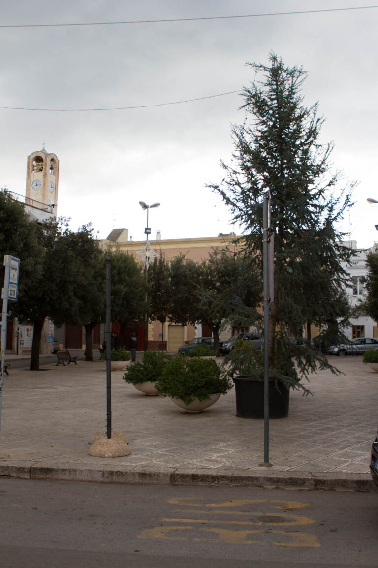 Il tanto contestato albero di Natale a Pezze di Greco sarà sostituito Il tanto contestato albero di Natale a Pezze di Greco sarà sostituito - Osservatorio Fasano