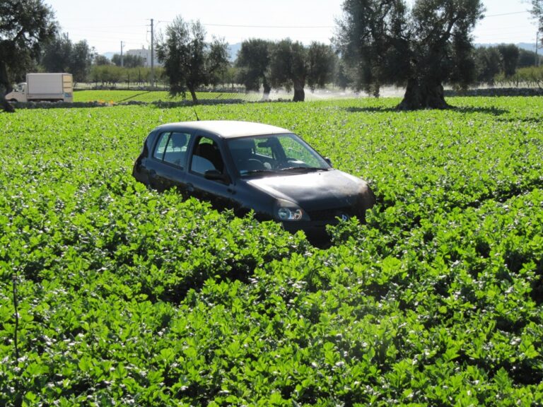 Fuori strada sulla Statale 16: feriti due giovani fasanesi LE FOTO - Osservatorio Fasano