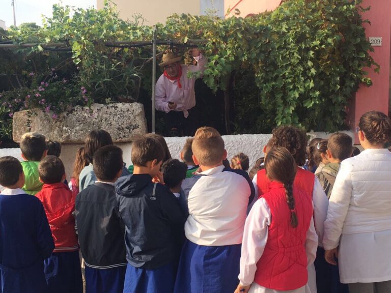 I bambini della scuola primaria di Pozzo Faceto a lezione di vendemmia I bambini della scuola primaria di Pozzo Faceto a lezione di vendemmia - Osservatorio Fasano