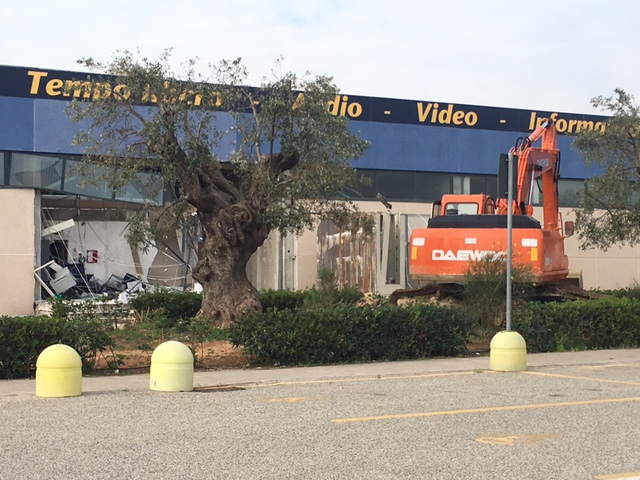 Furto con spaccata alla gioielleria di Conforama: i particolari LE FOTO Furto con spaccata alla gioielleria di Conforama: i particolari LE FOTO - Osservatorio Fasano