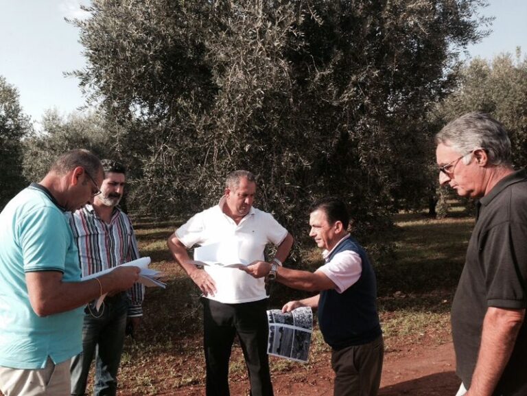 Danni causati dalla grandinata: sopralluogo di tecnici regionali a Fasano - Osservatorio Fasano