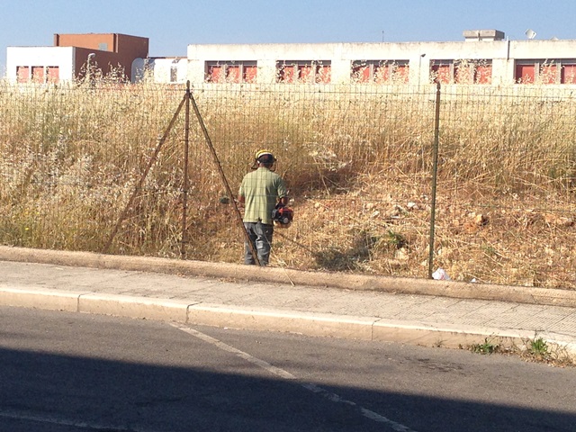 Terreno Asl in via Attoma: iniziata la pulizia dell’intera area Terreno Asl in via Attoma: iniziata la pulizia dell'intera area - Osservatorio Fasano