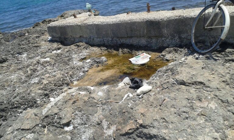 Caletta in stato di degrado a Torre Canne: la denuncia dell'Udicon - Osservatorio Fasano