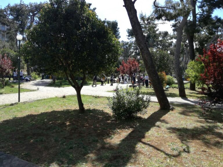 Fasano esclusa dal bando di gara per l'adeguamento dei parchi gioco riservato ai disabili - Osservatorio Fasano