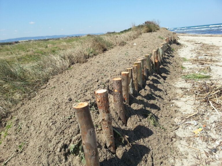 Torre Canne: le alghe rimosse in estate fanno rivivere le dune d'inverno - Osservatorio Fasano