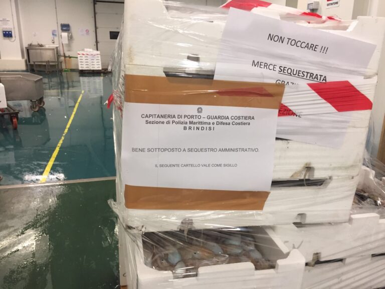 Sequestrati a Savelletri tre quintali di prodotti ittici di dubbia provenienza Sequestrati a Savelletri tre quintali di prodotti ittici di dubbia provenienza - Osservatorio Fasano