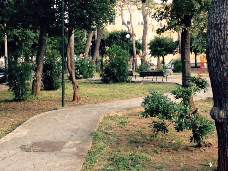 Primi effetti delle nuove assunzioni Tradeco: Fasano torna ad essere decentemente pulita Primi effetti delle nuove assunzioni Tradeco: Fasano torna ad essere decentemente pulita - Osservatorio Fasano