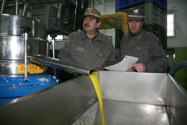 Spacciavano per italiano olio extracomunitario: nella truffa implicata azienda fasanese Spacciavano per italiano olio extracomunitario: nella truffa implicata azienda fasanese - Osservatorio Fasano