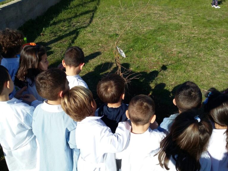 ‘Festa dell’albero’ per i piccoli della scuola ‘Don Sante’ di Fasano 'Festa dell'albero' per i piccoli della scuola 'Don Sante' di Fasano - Osservatorio Fasano