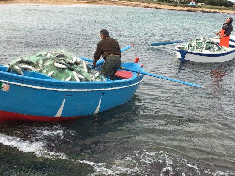 Pesca ‘miracolosa’ a Forcatella: i barchini tornano a terra carichi di cefali LE FOTO Pesca 'miracolosa' a Forcatella: i barchini tornano a terra carichi di cefali LE FOTO - Osservatorio Fasano