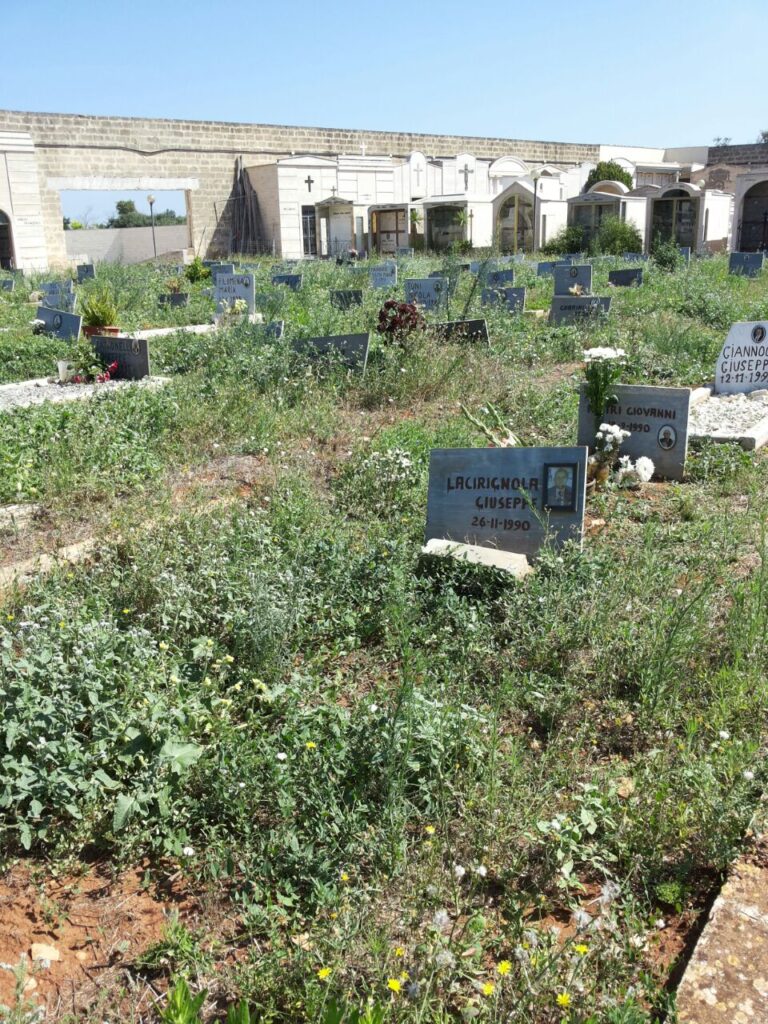 Il cimitero di Fasano regno di zanzare ed erbacce Il cimitero di Fasano regno di zanzare ed erbacce - Osservatorio Fasano