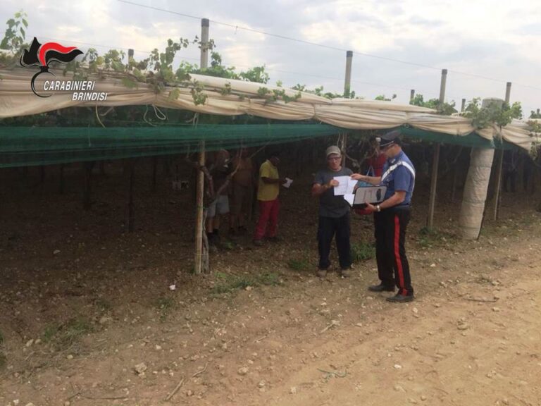 Carabinieri: attività di prevenzione e contrasto allo sfruttamento dei braccianti agricoli Carabinieri: attività di prevenzione e contrasto allo sfruttamento dei braccianti agricoli - Osservatorio Fasano