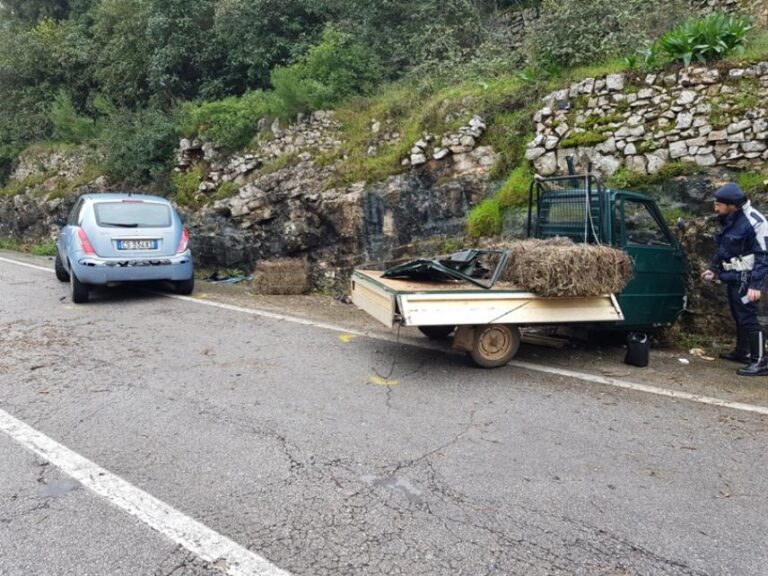 Incidente sulla Statale 172: due persone in prognosi riservata Incidente sulla Statale 172: due persone in prognosi riservata - Osservatorio Fasano