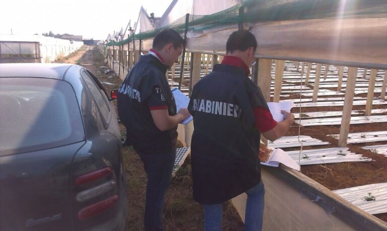 Controlli dell’ispettorato del lavoro sul territorio provinciale: fioccano le irregolarità Controlli dell'ispettorato del lavoro sul territorio provinciale: fioccano le irregolarità - Osservatorio Fasano