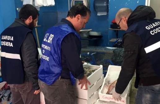 Operazione Countdown: controlli sulla filiera ittica a Savelletri e Torre Canne Operazione Countdown: controlli sulla filiera ittica a Savelletri e Torre Canne - Osservatorio Fasano