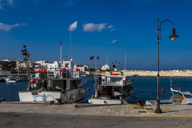 Lampioni rotti e strade al buio: Savelletri d'inverno fa paura - Osservatorio Fasano