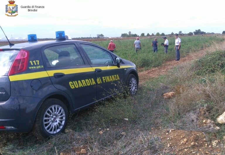 Scoperti 14 falsi braccianti agricoli: sequestrati beni anche a Fasano Scoperti 14 falsi braccianti agricoli: sequestrati beni anche a Fasano - Osservatorio Fasano