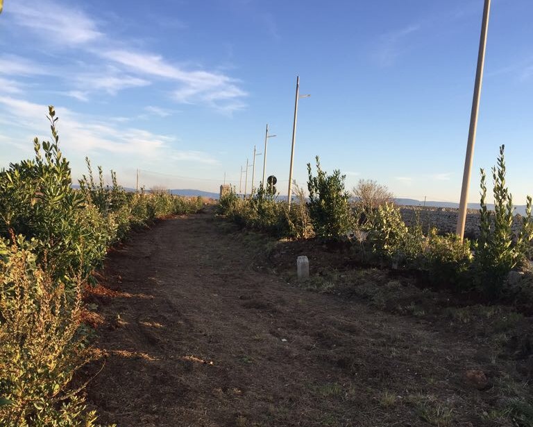 Chiusura area ‘Villa Carenza’ a Savelletri: i chiarimenti del nuovo proprietario Chiusura area 'Villa Carenza' a Savelletri: i chiarimenti del nuovo proprietario - Osservatorio Fasano