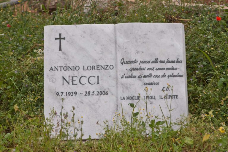 Incidente Necci a Fasano: assolto Paolini accusato di furto aggravato di documenti Incidente Necci a Fasano: assolto Paolini accusato di furto aggravato di documenti - Osservatorio Fasano