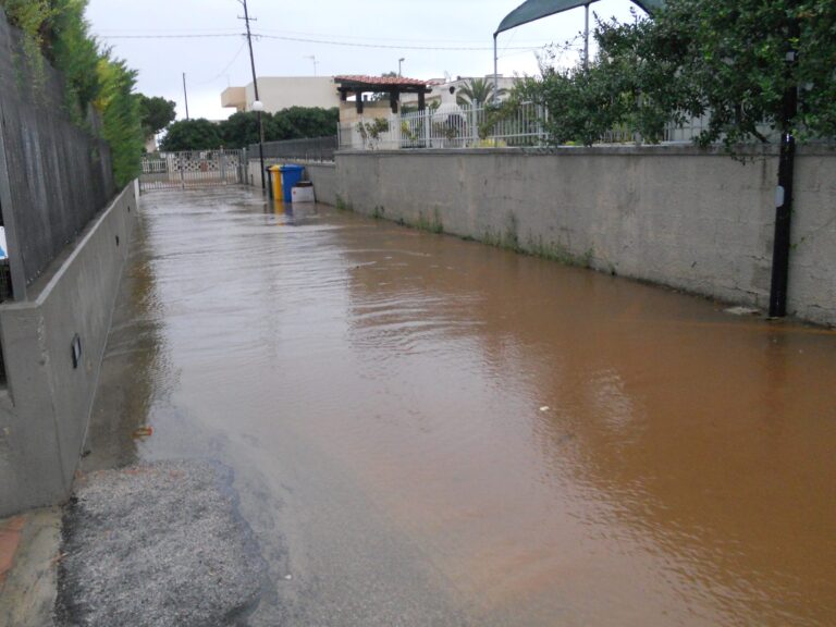 Maltempo: la Cia di Brindisi invita gli agricoltori di Fasano a stimare i danni - Osservatorio Fasano