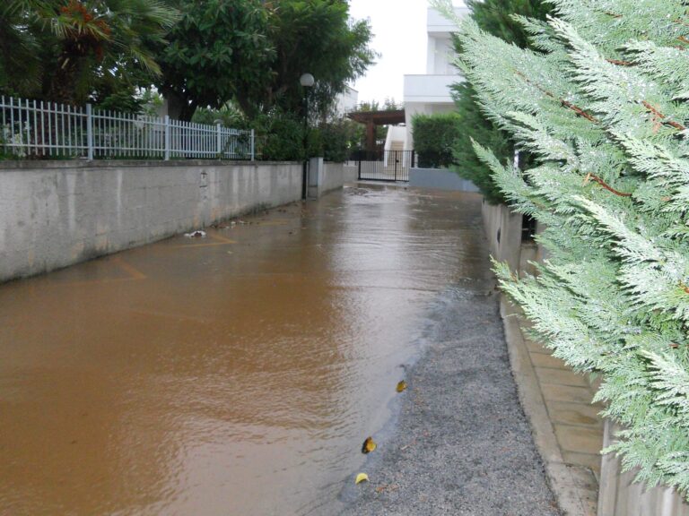 Maltempo: la Cia di Brindisi chiede la verifica dei danni nel comparto agricolo - Osservatorio Fasano