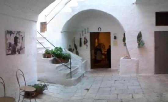 Mattinate Fai per le scuole di Fasano Mattinate Fai per le scuole di Fasano - Osservatorio Fasano