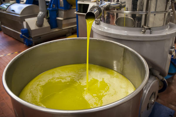 Sicurezza agroalimentare: controlli sulla qualità dell’olio anche a Fasano Sicurezza agroalimentare: controlli sulla qualità dell'olio anche a Fasano - Osservatorio Fasano