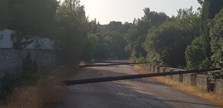 Tromba d'aria abbatte molti pali della luce a Selva di Fasano - Osservatorio Fasano