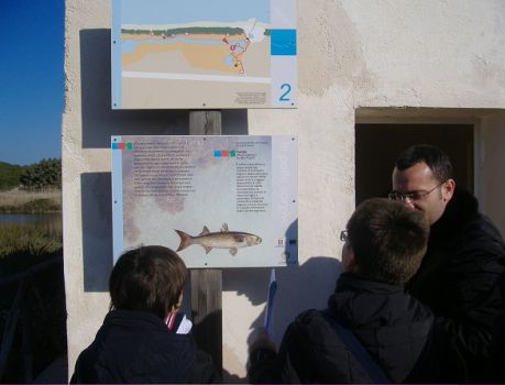 Progetto Discovering: visita agli impianti di pesca nel Parco delle Dune Costiere Progetto Discovering: visita agli impianti di pesca nel Parco delle Dune Costiere - Osservatorio Fasano