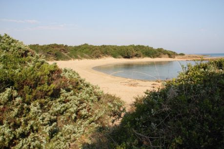 Parco Dune Costiere: Fasano non versa la sua quota di gestione e Ostuni si lamenta Parco Dune Costiere: Fasano non versa la sua quota di gestione e Ostuni si lamenta - Osservatorio Fasano