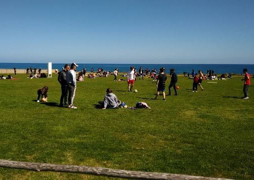 Numeri da record per Pasquetta a Fasano: Zoosafari e il mare le star Numeri da record per Pasquetta a Fasano: Zoosafari e il mare le star - Osservatorio Fasano