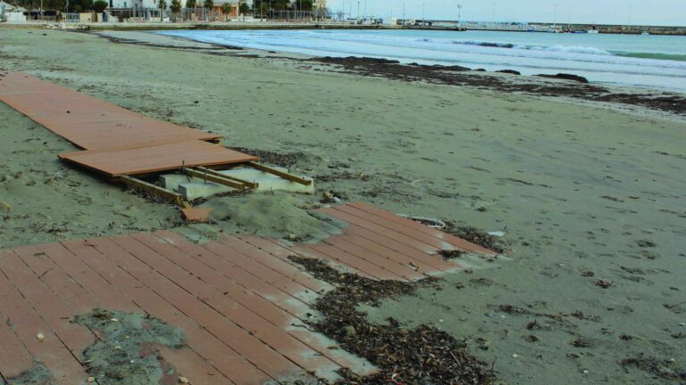 Dal libro dei sogni... alla triste realtà VIDEO - Osservatorio Fasano