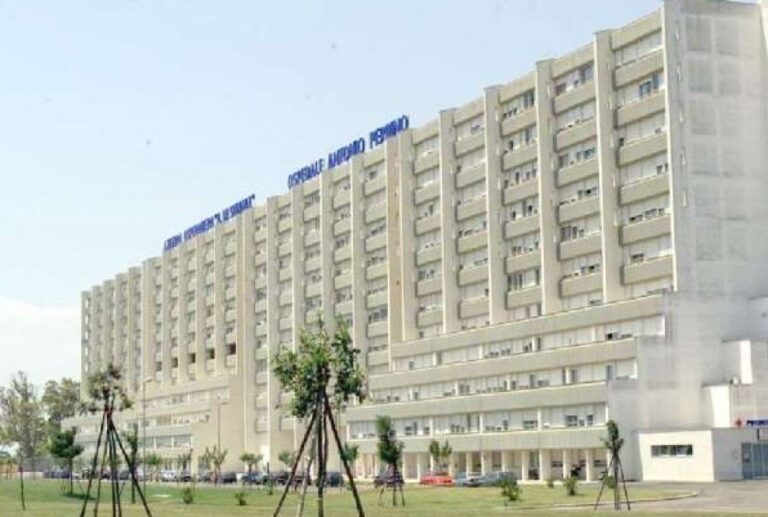 Centauro ferito: previsti diversi interventi per la ricostruzione del volto - Osservatorio Fasano