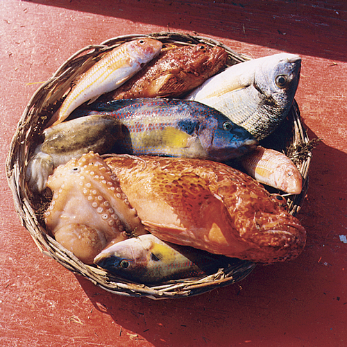 ‘Fish Cooking Show’ a Fasano 'Fish Cooking Show' a Fasano - Osservatorio Fasano