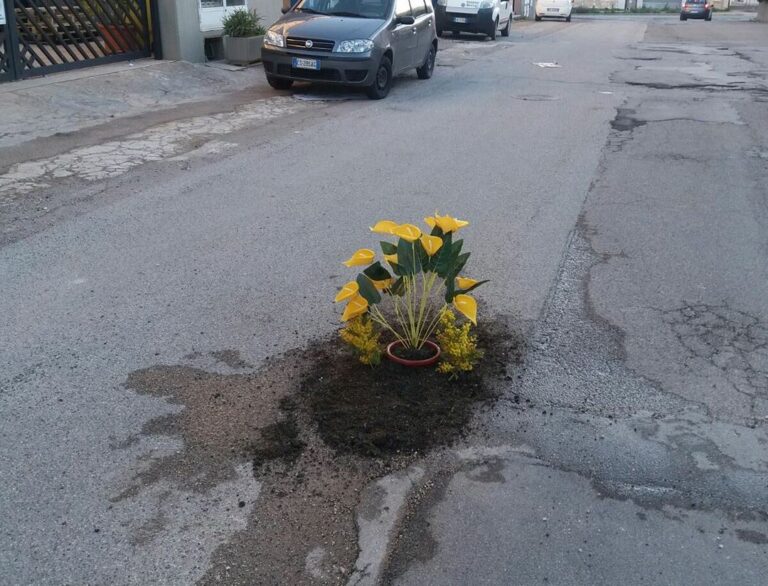 Buca pericolosa nella zona industriale nord di Fasano? L'alternativa è metterci una pianta - Osservatorio Fasano