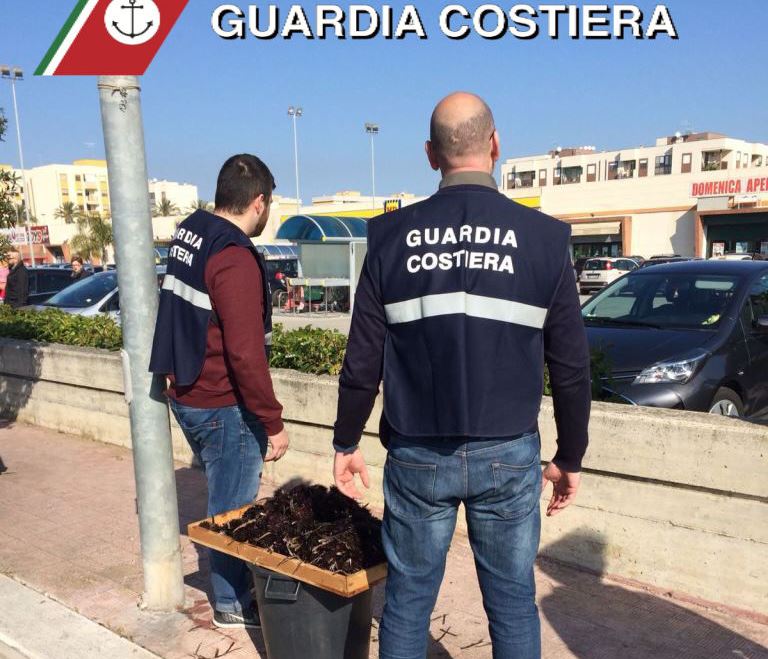 Maxi sequestro di ricci tra Savelletri e Torre Canne Maxi sequestro di ricci tra Savelletri e Torre Canne - Osservatorio Fasano